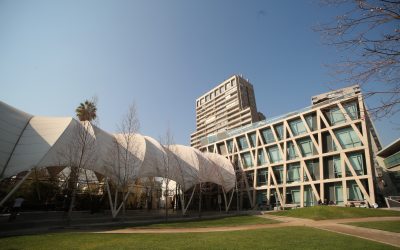 Disciplinas FEN UCHILE se posicionan entre los 10 cargos profesionales más buscados por las empresas